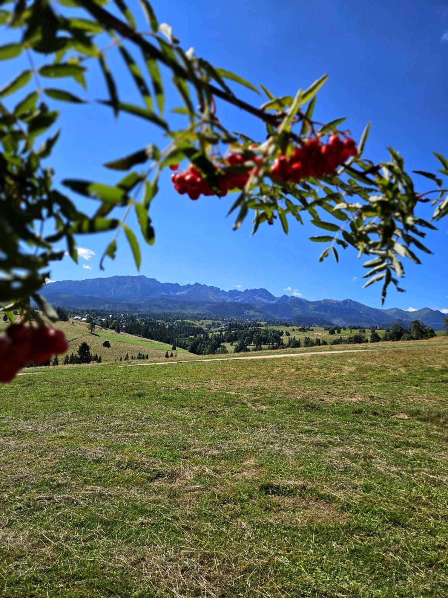 Góralska Chatka z Balią w Zakopanem Exterior foto